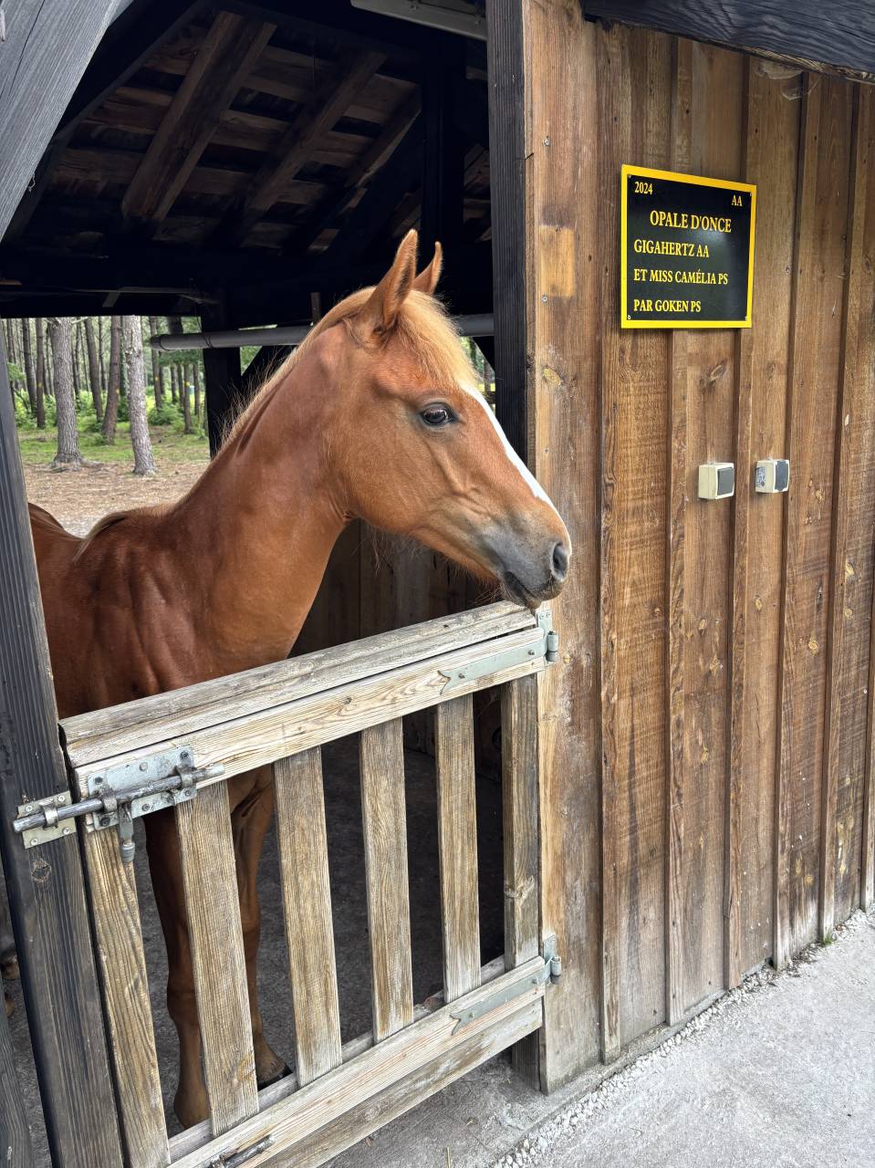 Equestrian property  Gironde