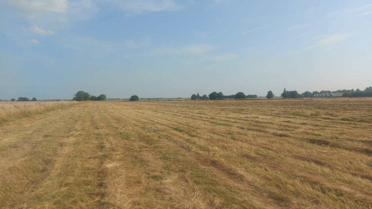 Approx 4 or 6 acres Equestrian land for sale