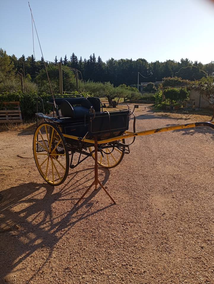 Carriage - Gig Pouvreau 2roues 