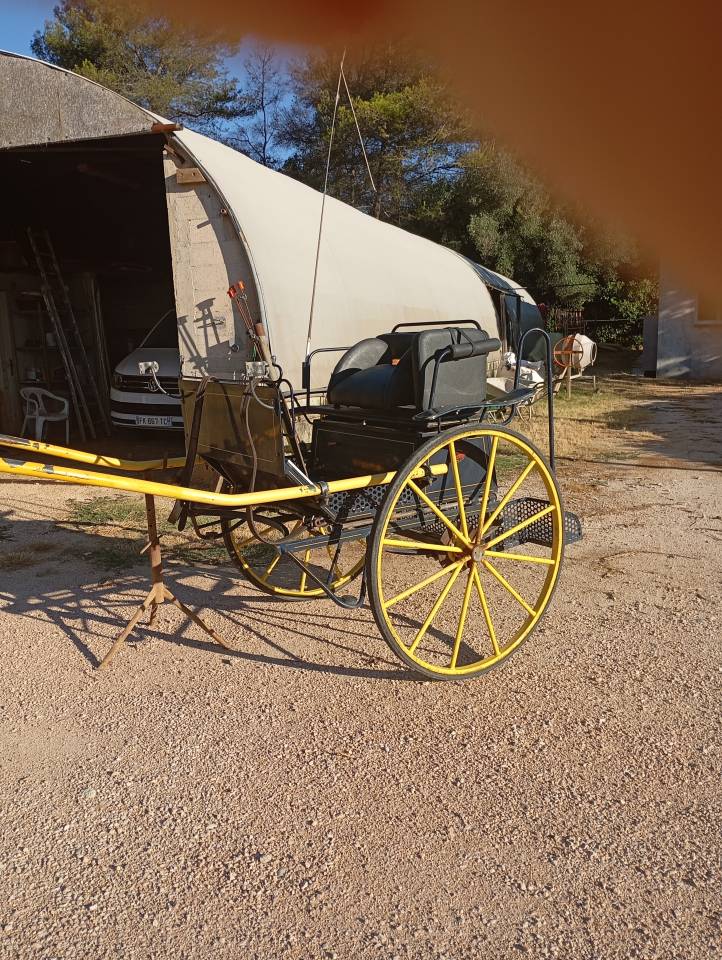 Carriage - Gig Pouvreau 2roues 