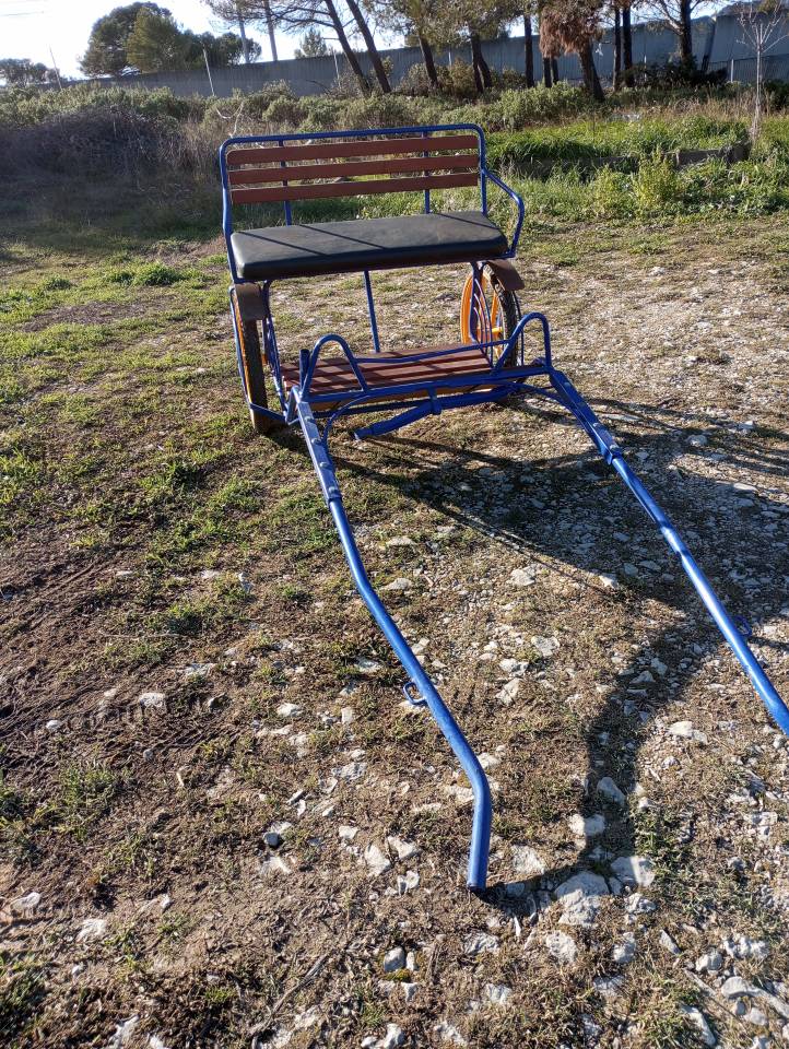 Carriage - Pony sulky - Other brand -  