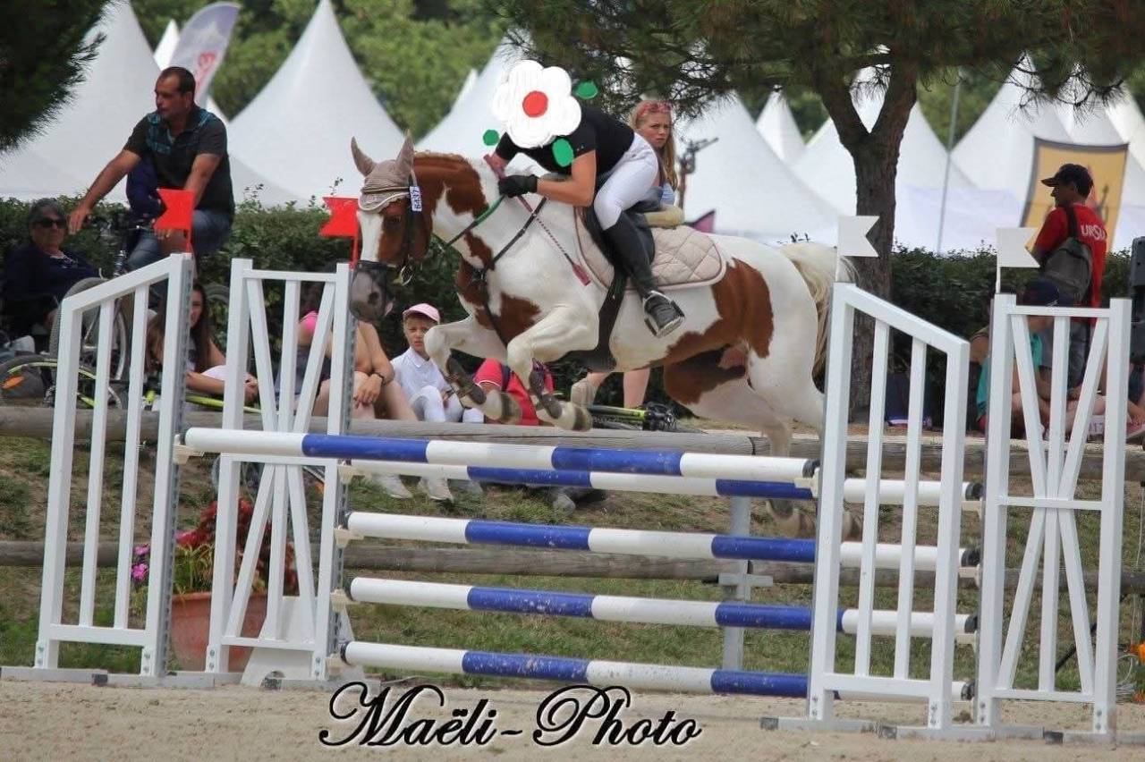 Mare Other Pony Breed For loan 2008 Coloured