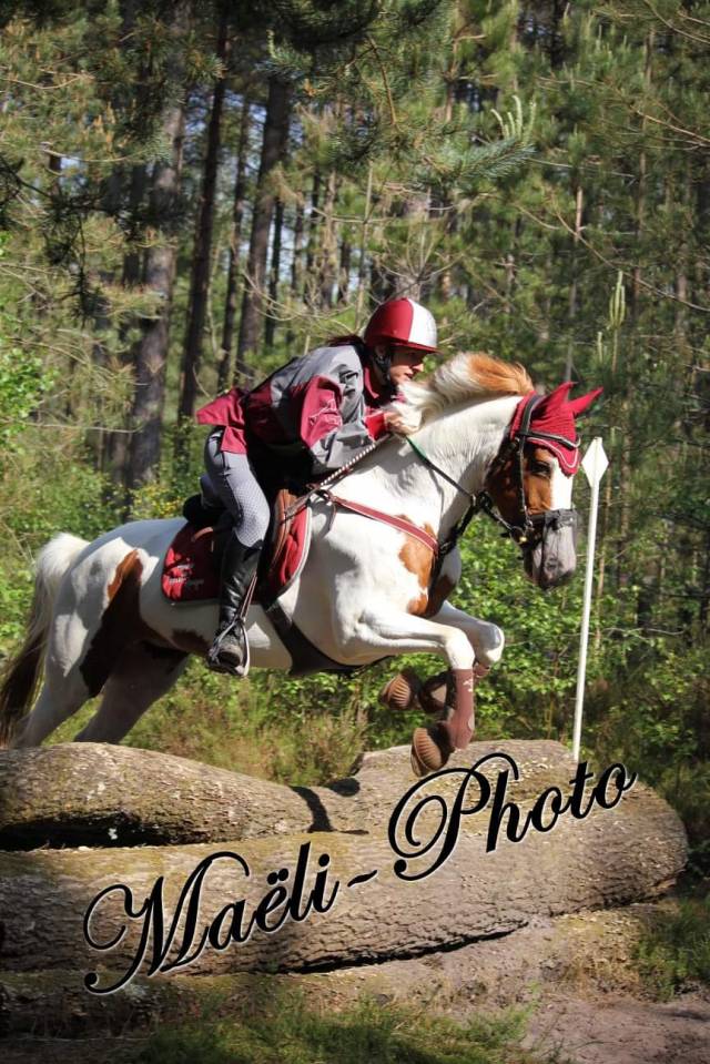 Mare Other Pony Breed For loan 2008 Coloured