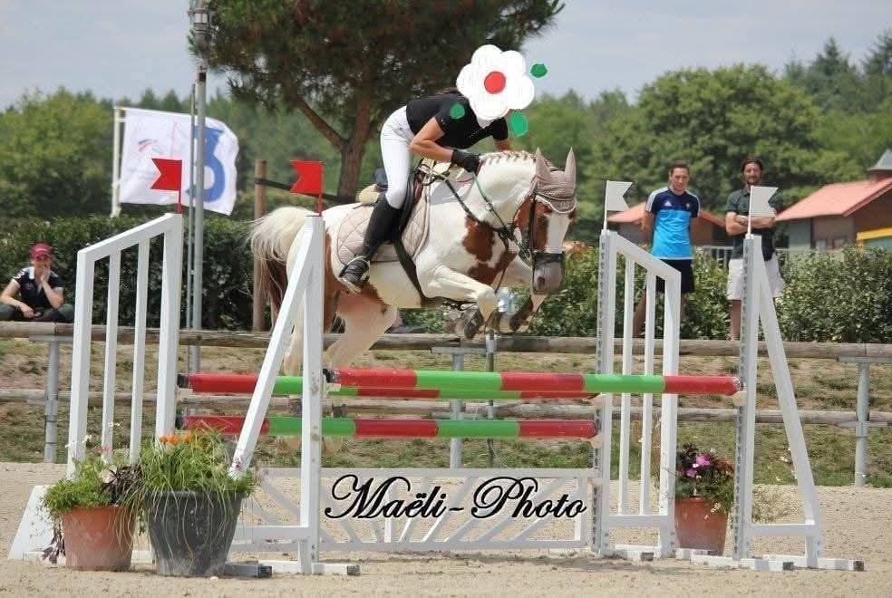 Mare Other Pony Breed For loan 2008 Coloured