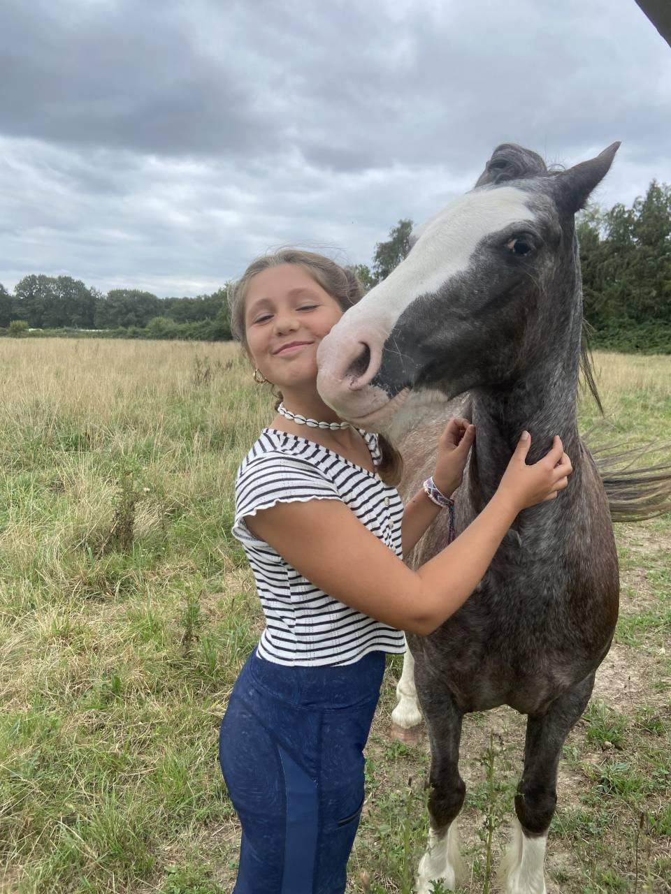 Mare No Origin Recorded For sale 2017 Grey