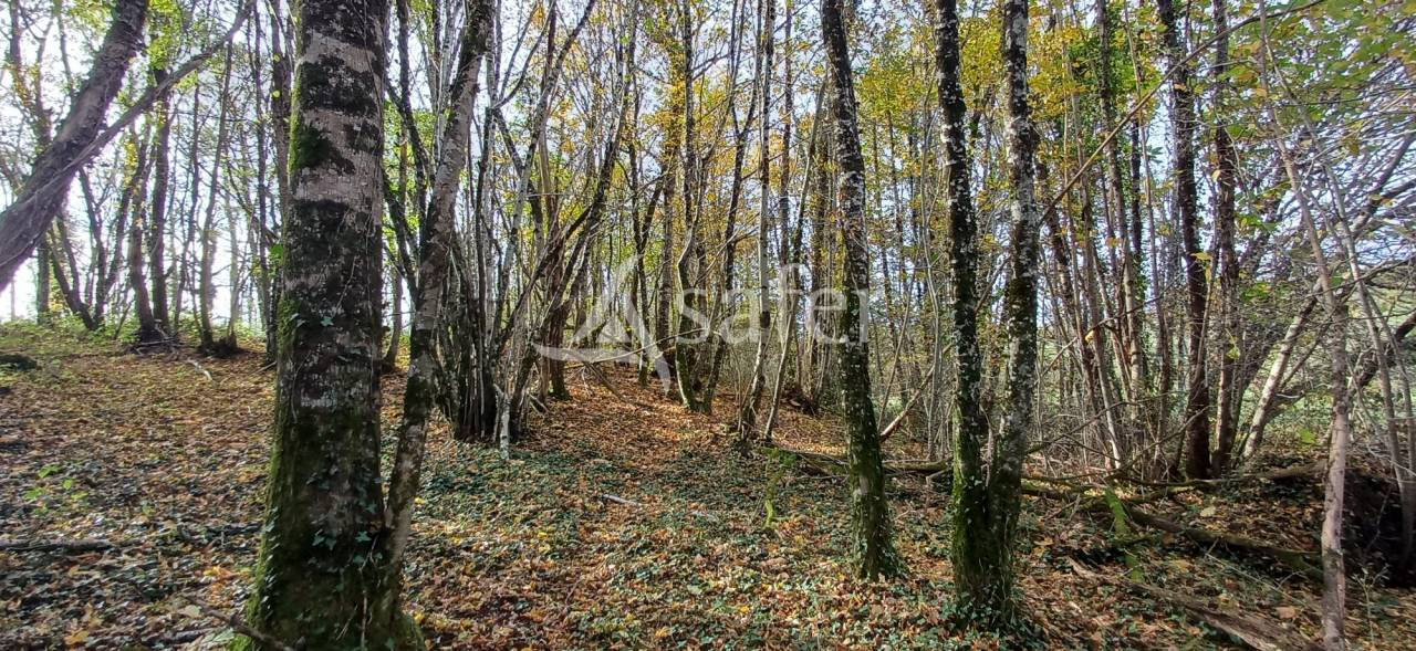Other agricultural property  Dordogne