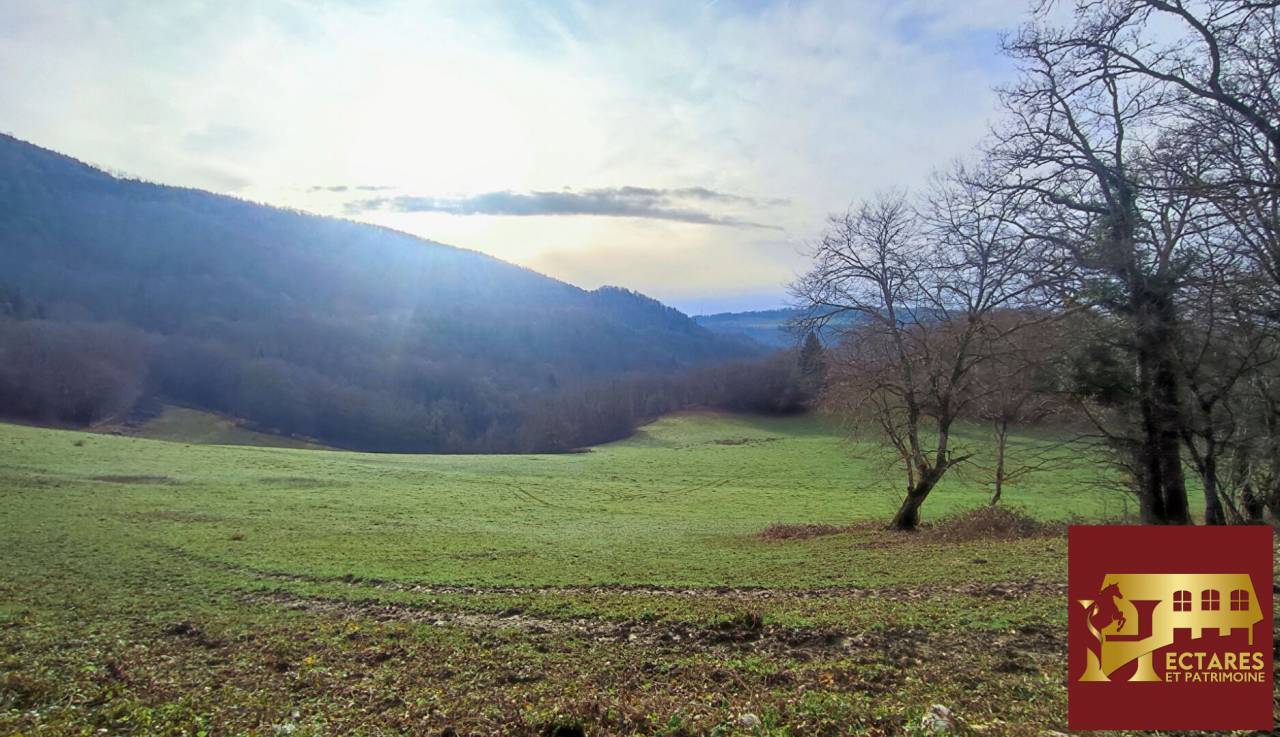 Equestrian property  Doubs