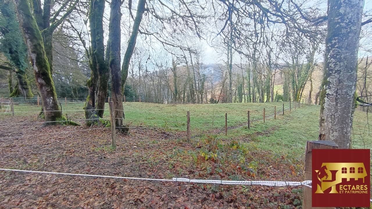 Equestrian property  Doubs