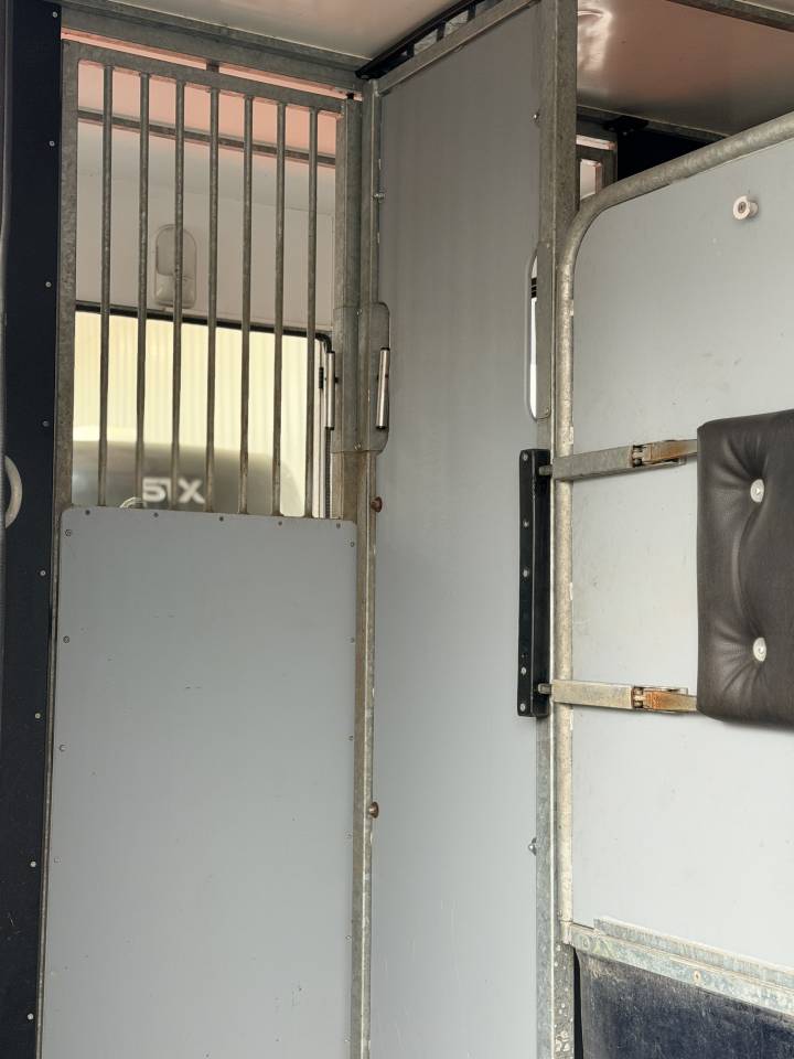 Horsebox HGV AP Petit 3pstalles 2022 Used