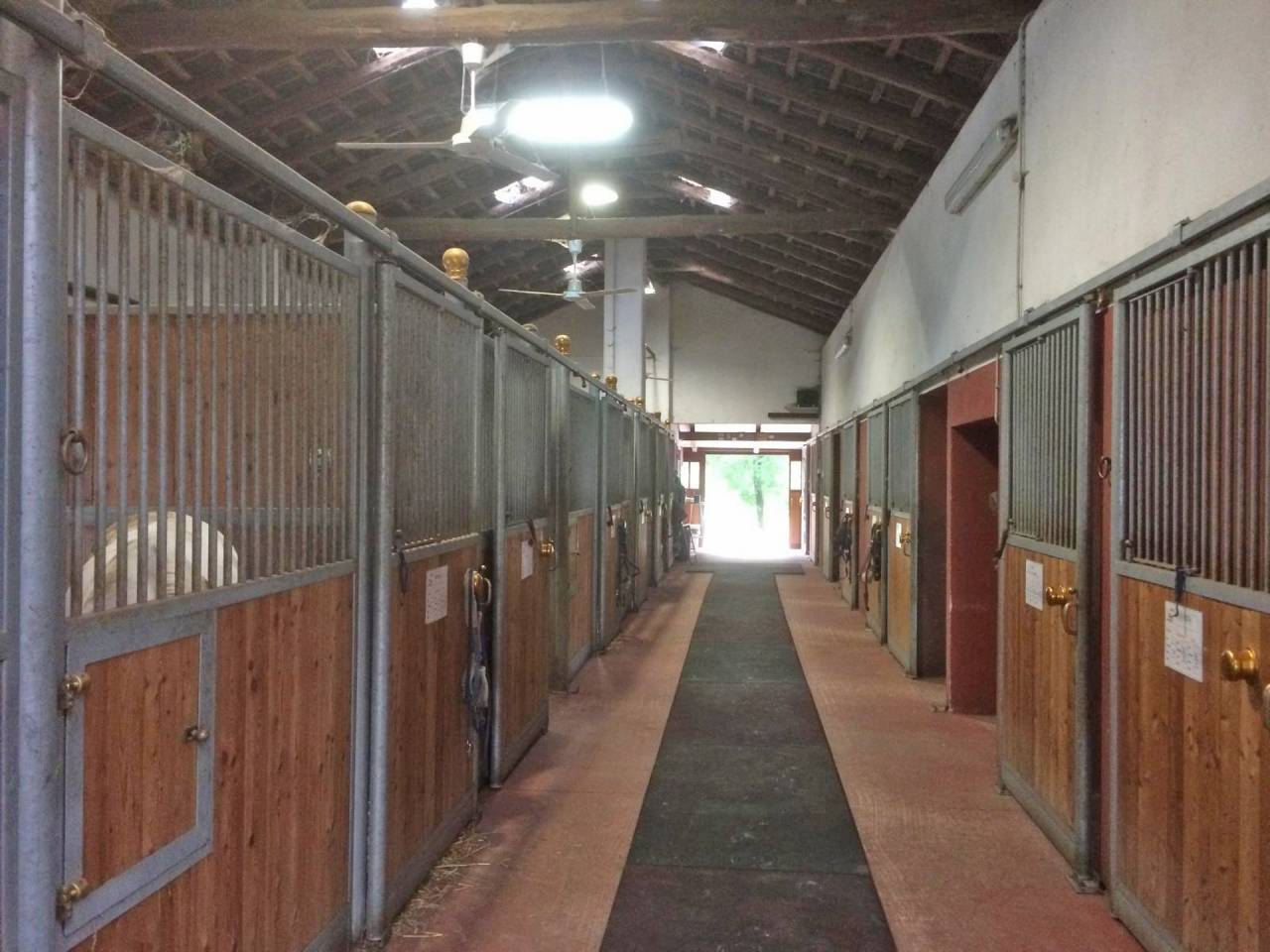 Equestrian property  Turin