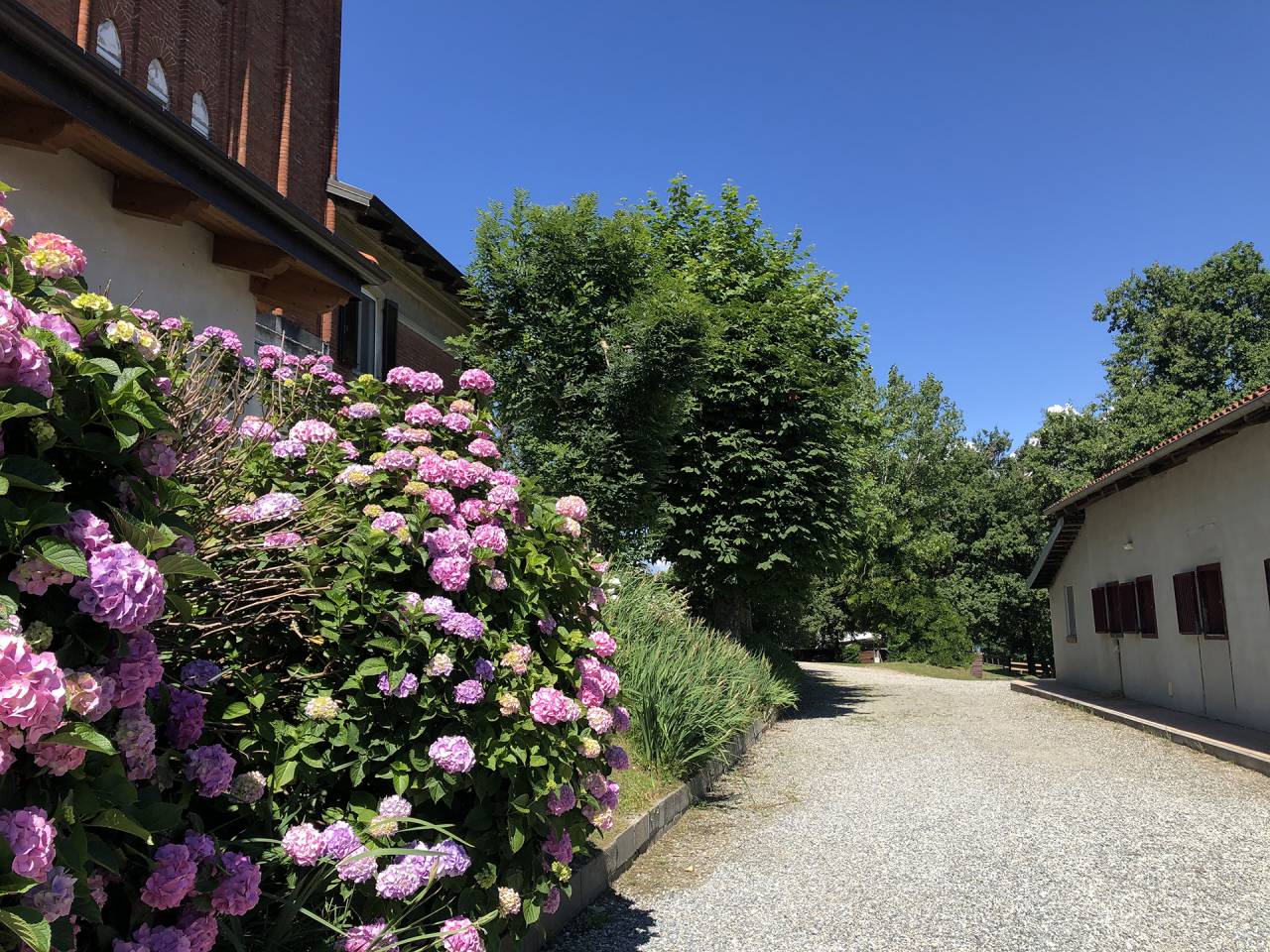 Equestrian property  Turin