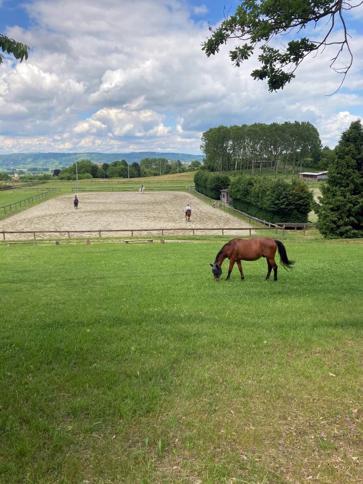 Equestrian property  Turin
