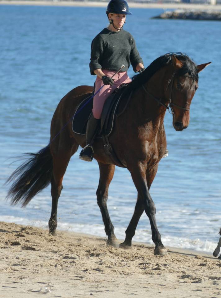 Mare PRE Pure Spanish Bred For sale 2021 Dark Bay