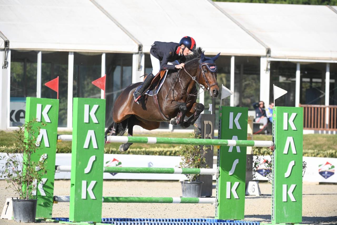 Mare Holsteiner For sale 2011 Bay