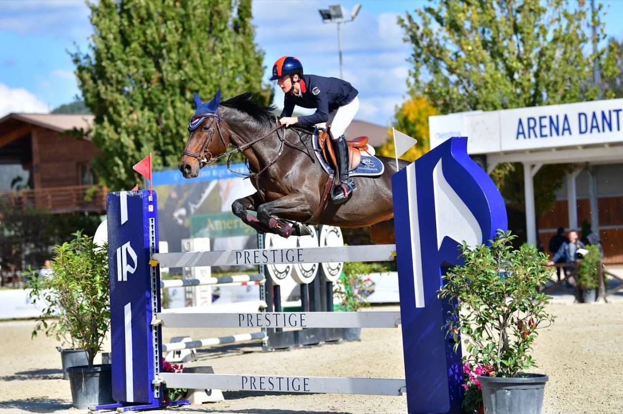 Mare Holsteiner For sale 2011 Bay