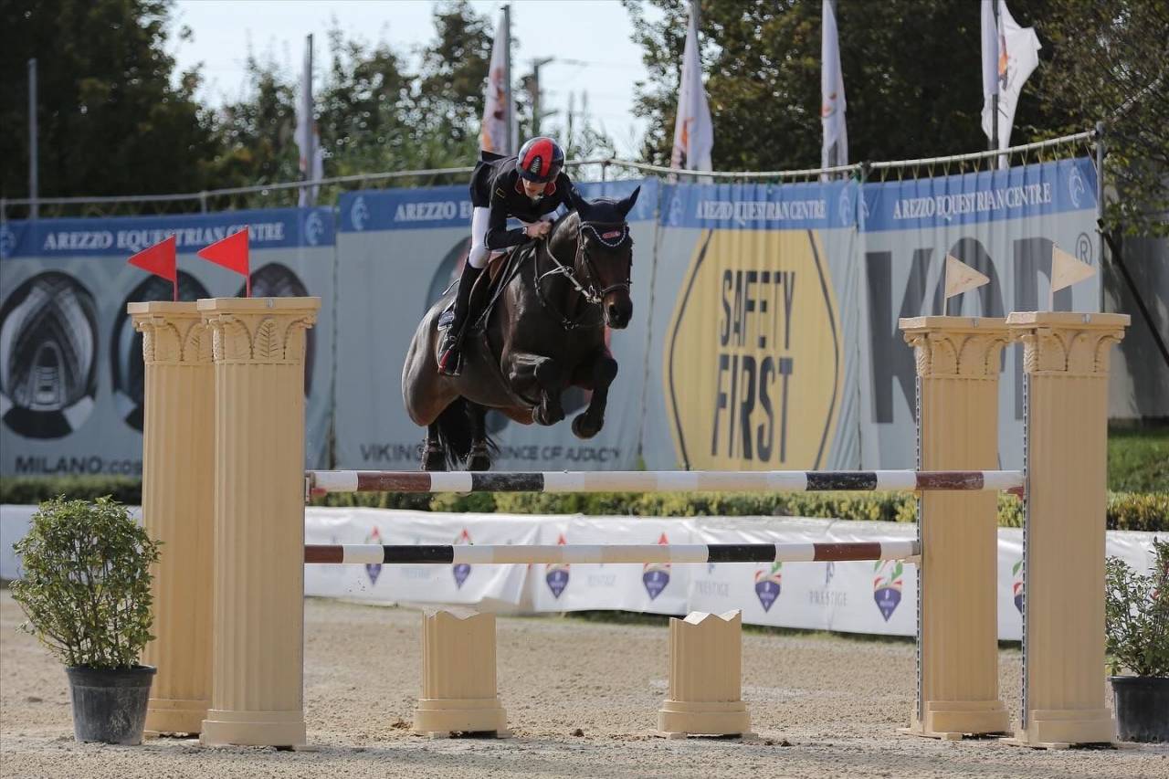 Mare Holsteiner For sale 2011 Bay