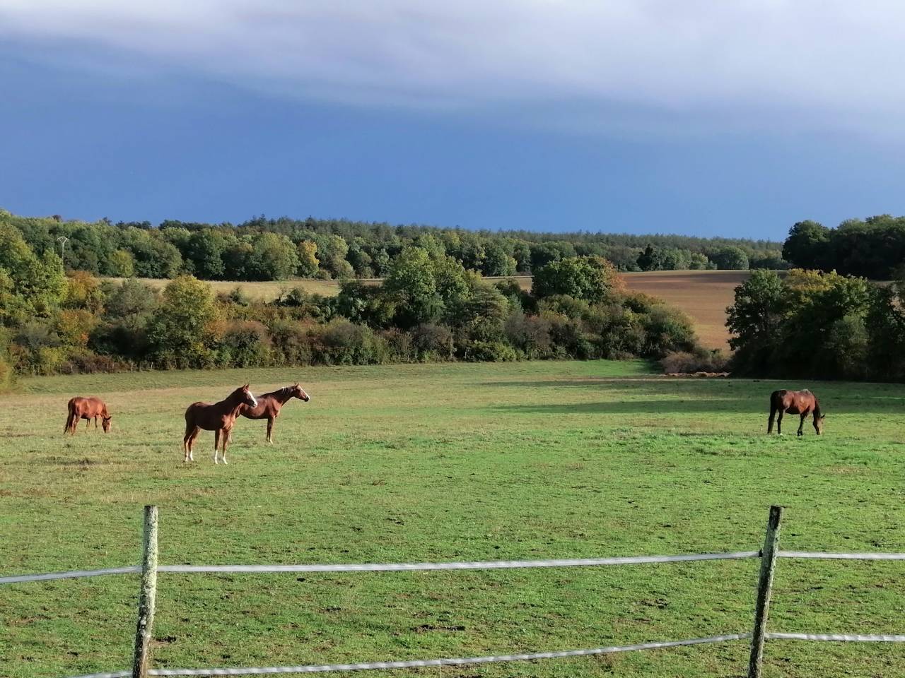 Luxurious equestrian property  Charente