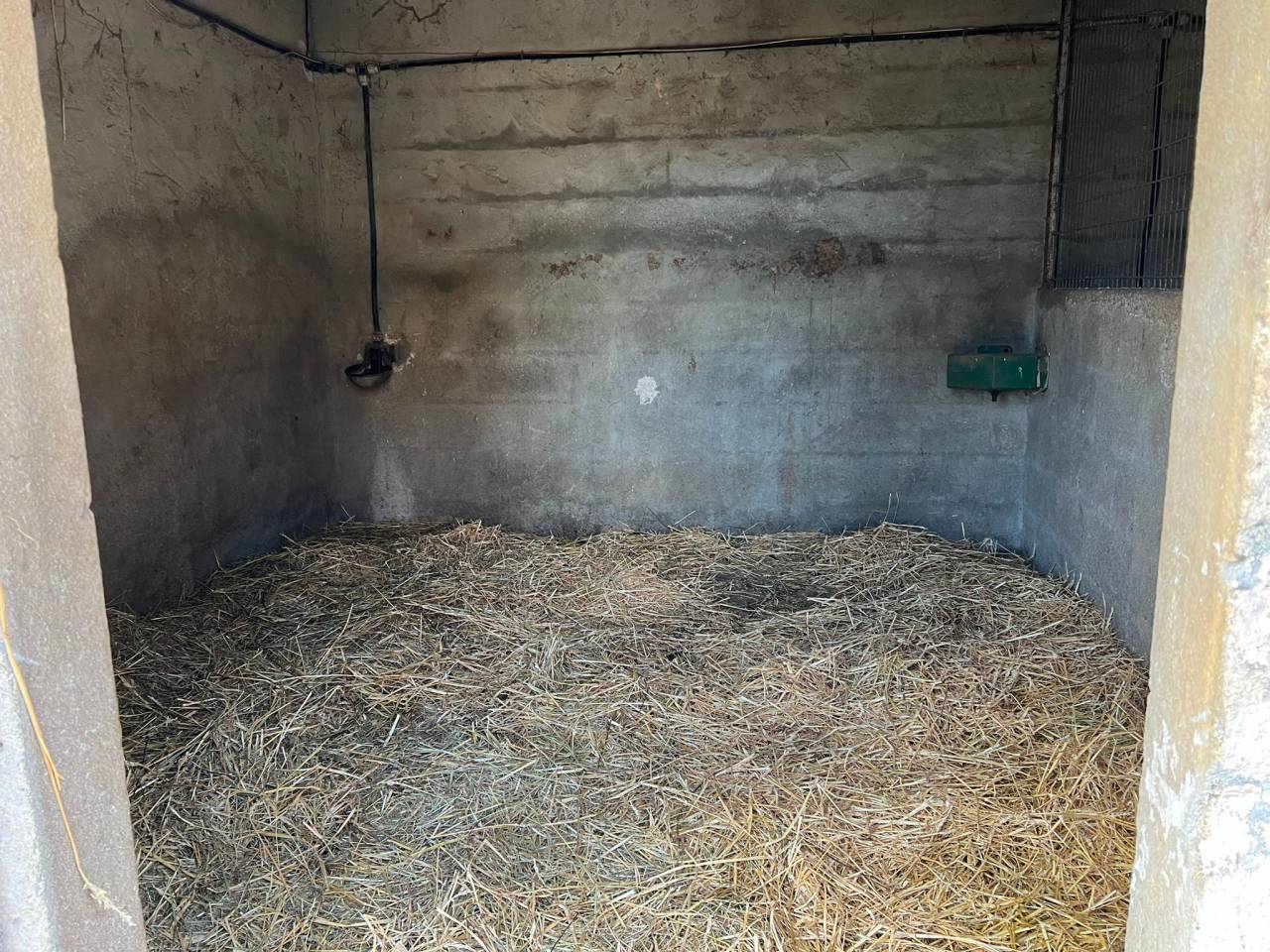 Luxurious equestrian property  Charente