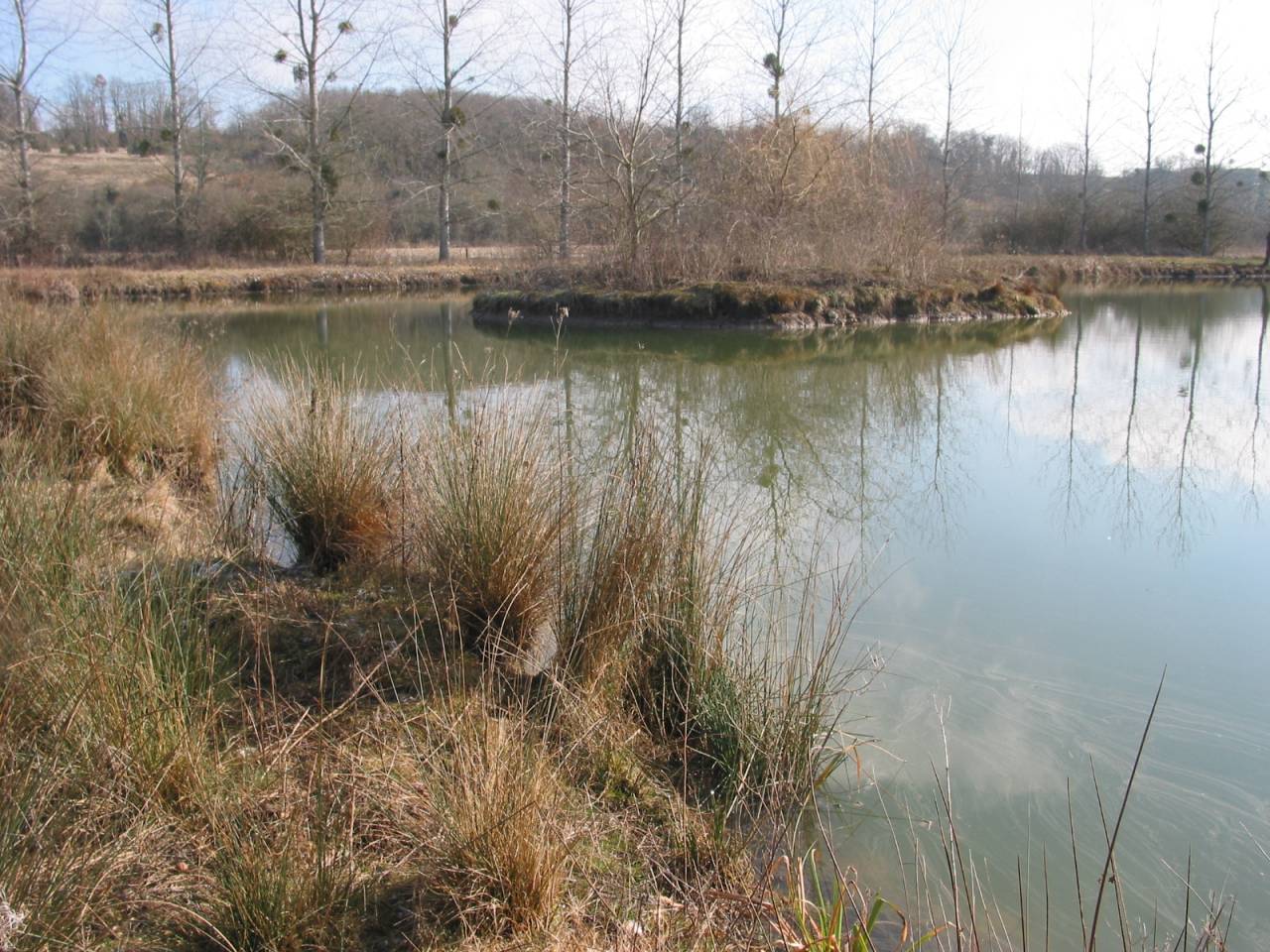 Luxurious equestrian property  Charente