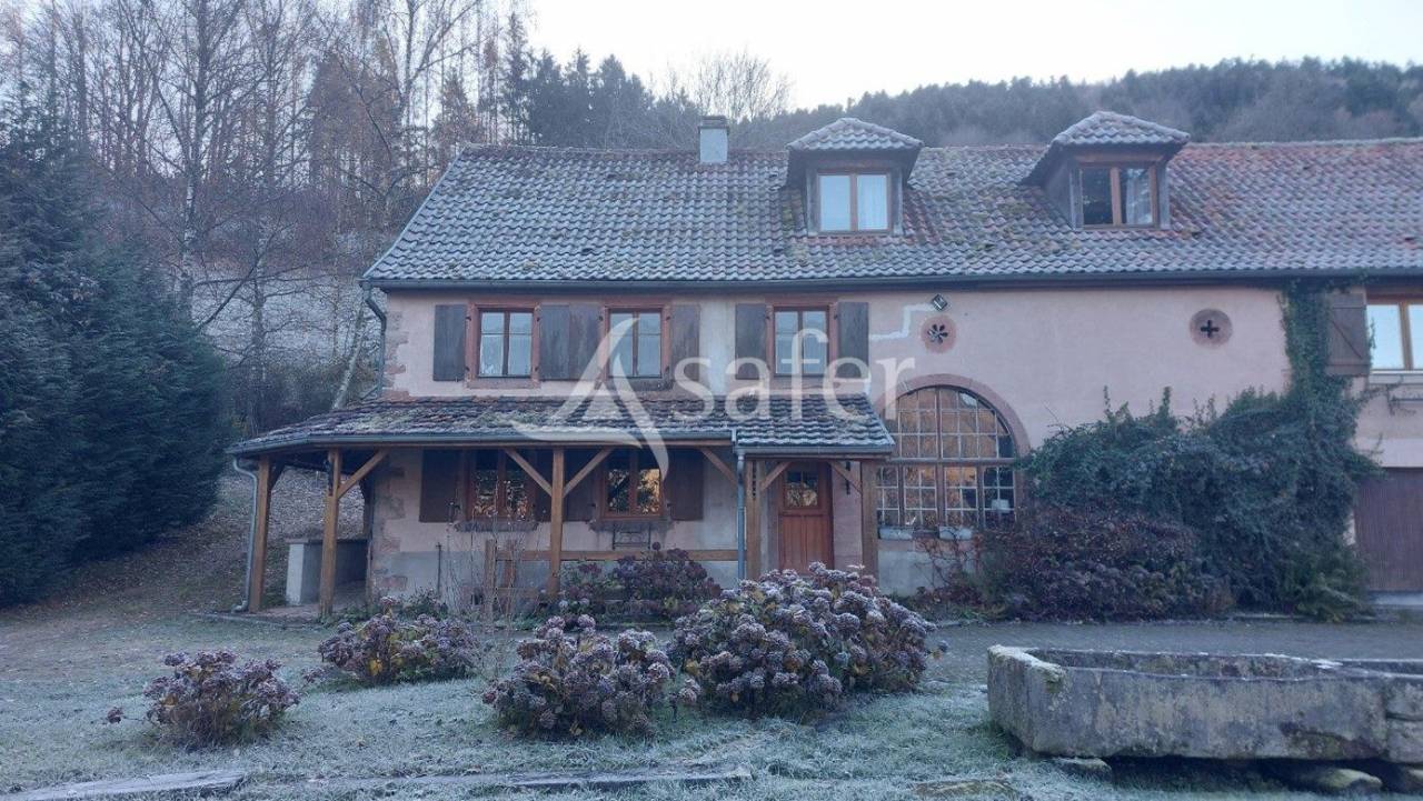 Equestrian property  Bas-Rhin