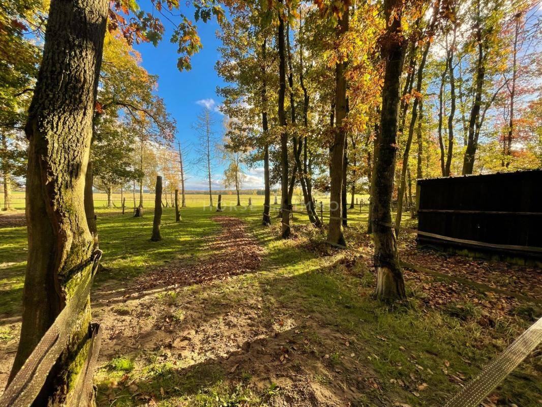 Equestrian property  Yvelines