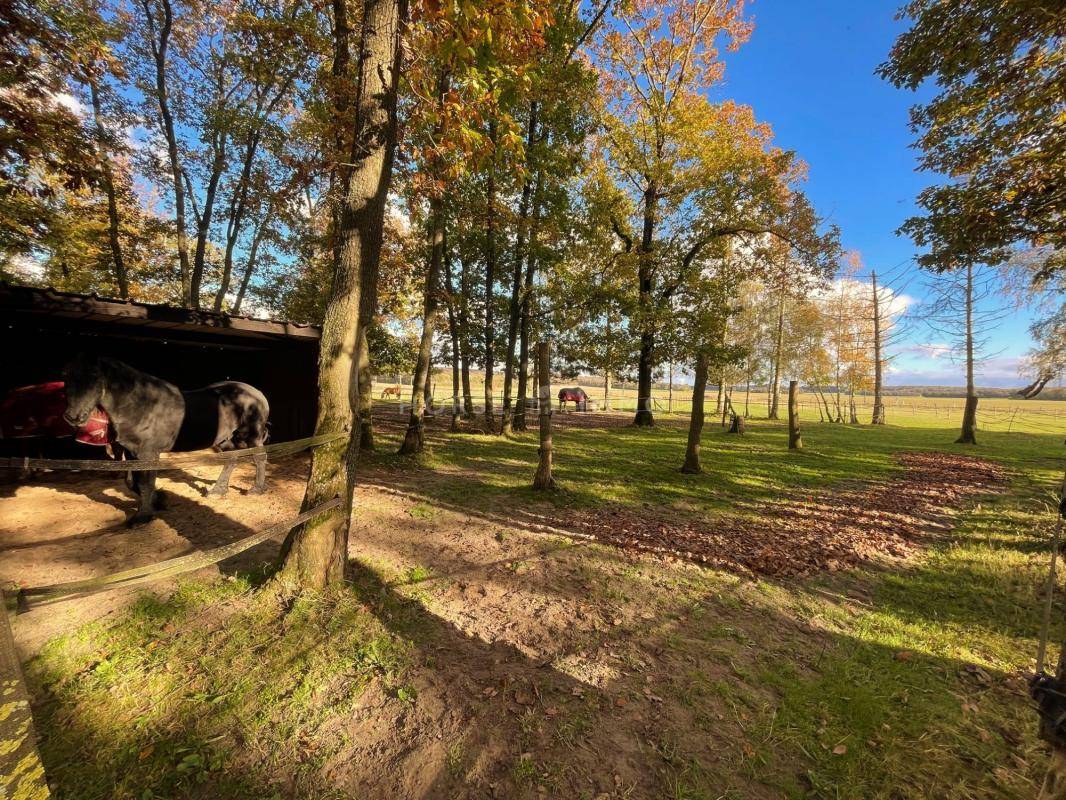Equestrian property  Yvelines
