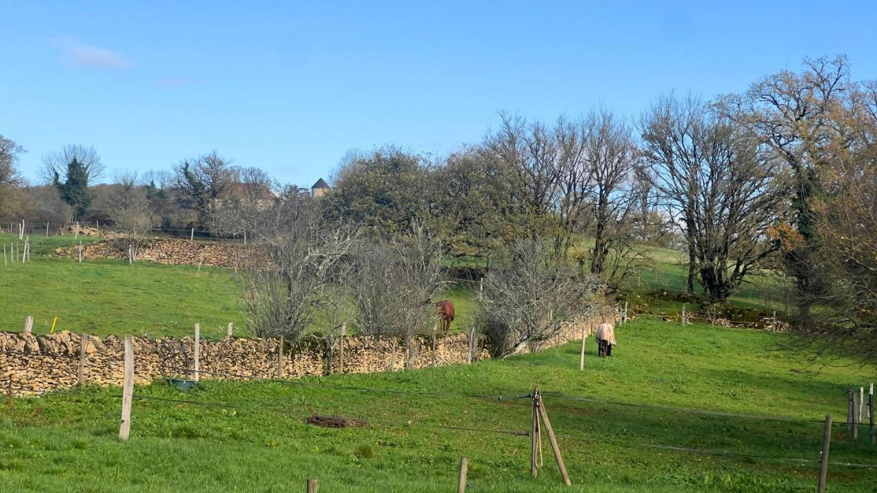 Luxurious equestrian property  Lot