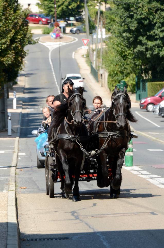 Carriage - Cal&egrave;che - Other brand -  