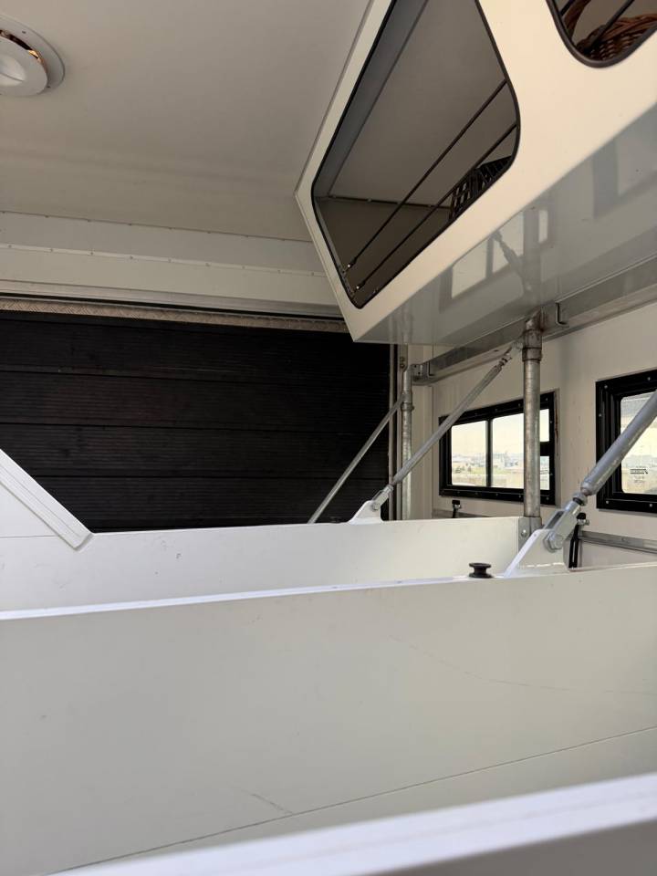 Horsebox NON-HGV Mercedes MERCEDES-BENZ 0 Used