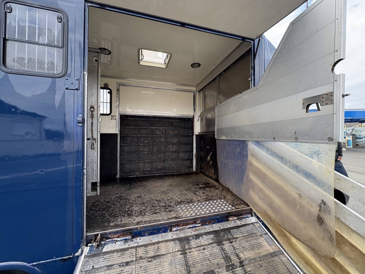 Horsebox HGV Iveco Daily  2009 Used