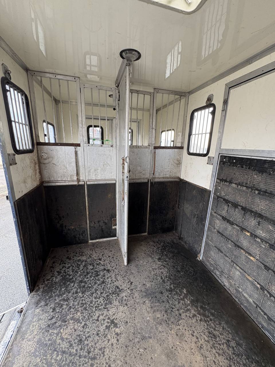 Horsebox HGV Iveco Daily  2009 Used