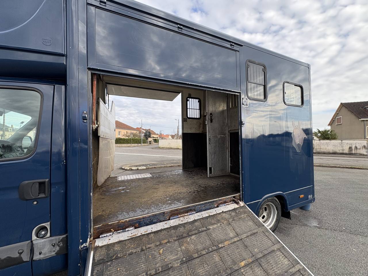 Horsebox HGV Iveco Daily  2009 Used