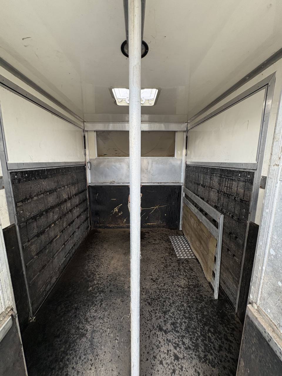 Horsebox HGV Iveco Daily  2009 Used