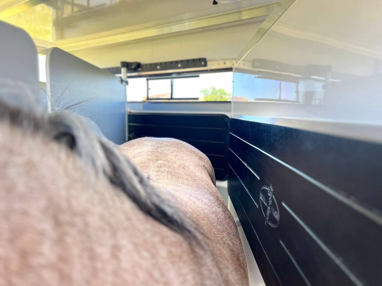 Horse trailer Bonilla B6 Diagonal 2 2 Stalls 2026 New