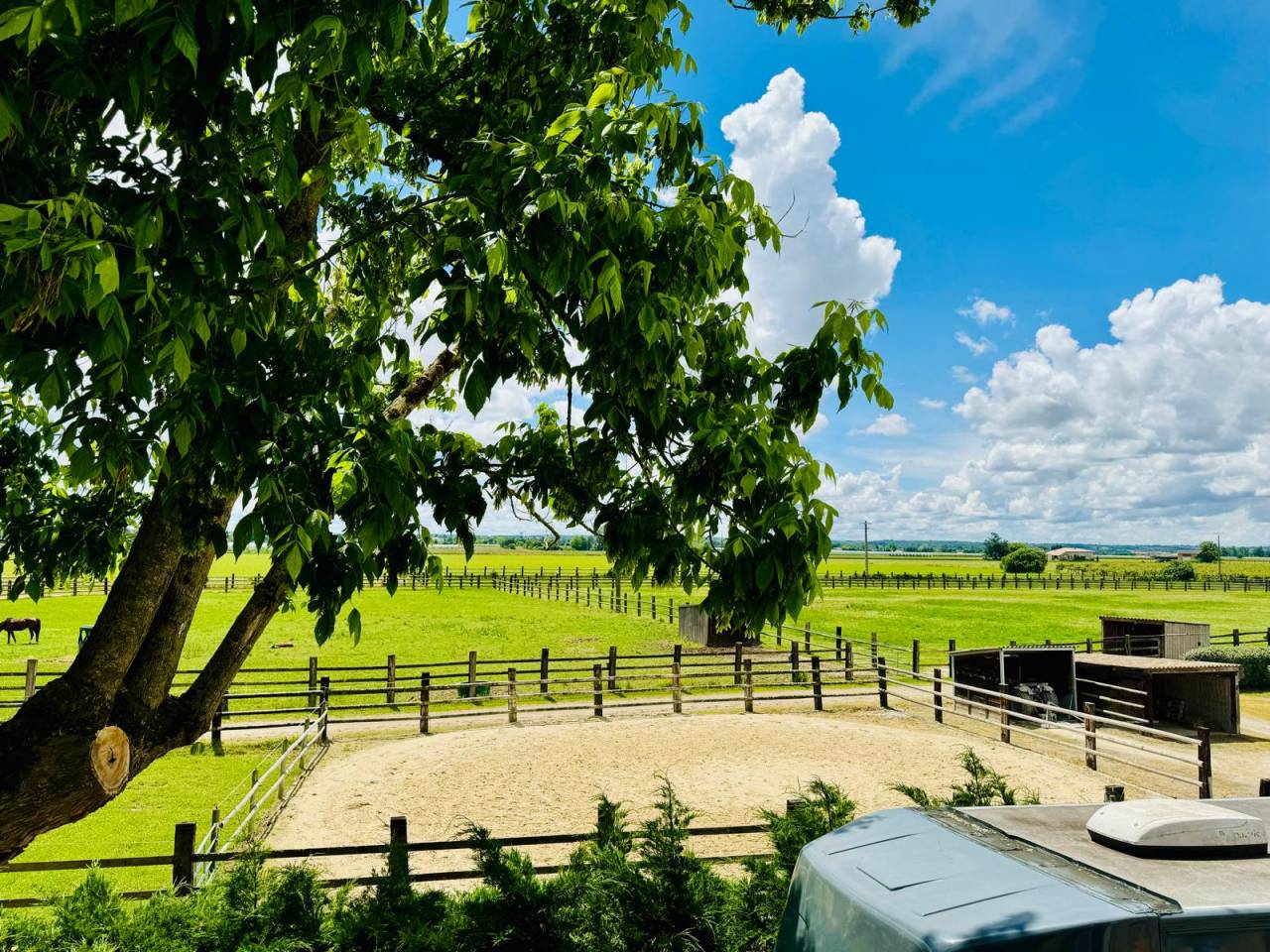 Equestrian property  Tarn-et-Taronne