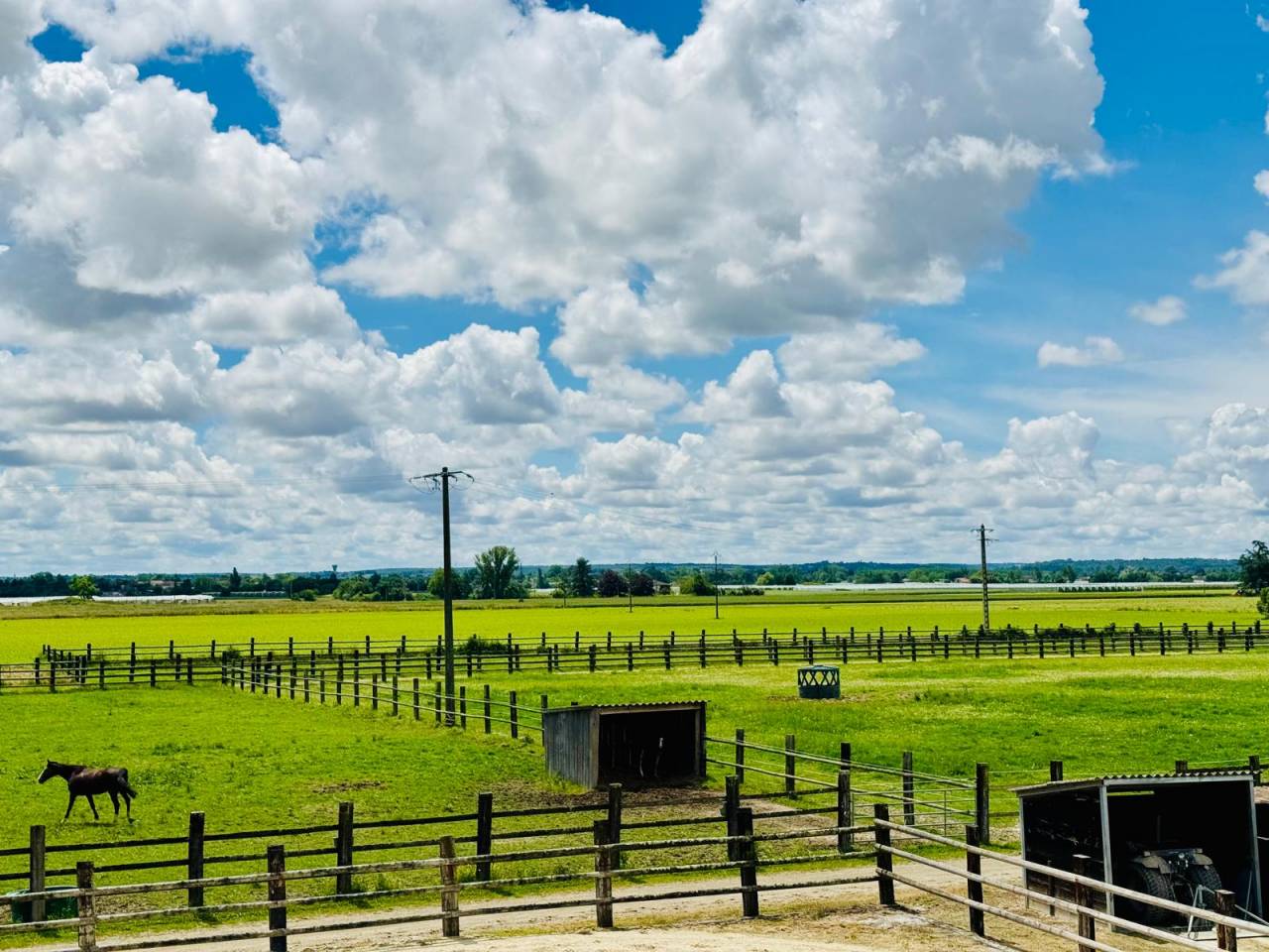 Equestrian property  Tarn-et-Taronne
