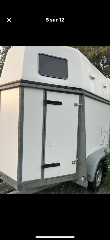 Horse trailer - Other brand - Packo  2 Stalls 1994 Used