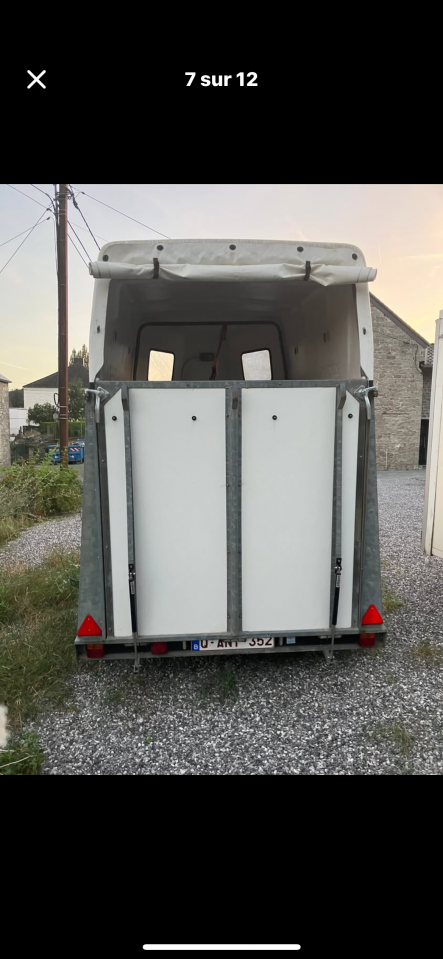 Horse trailer - Other brand - Packo  2 Stalls 1994 Used