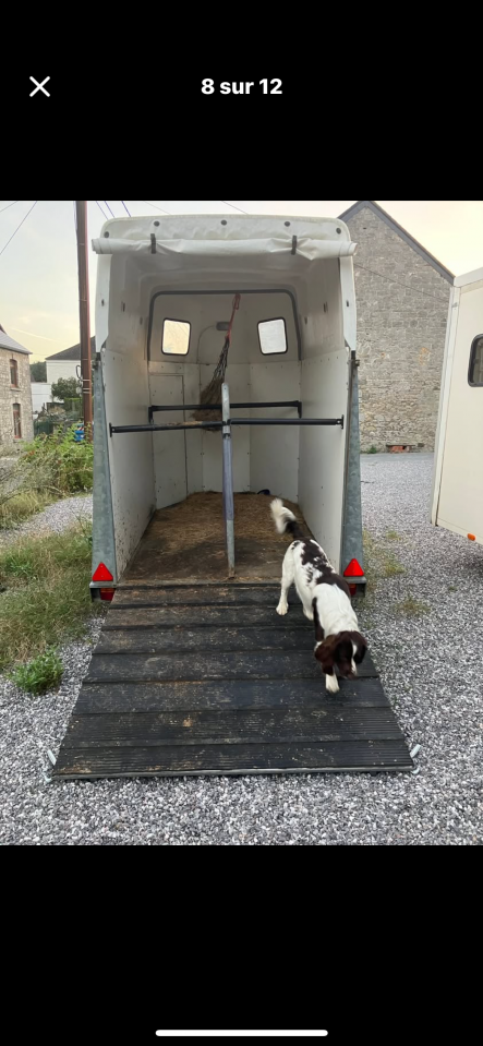 Horse trailer - Other brand - Packo  2 Stalls 1994 Used