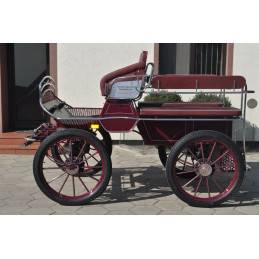 Carriage - Marathon for leisure Dominiak  