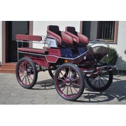 Carriage - Marathon for leisure Dominiak  