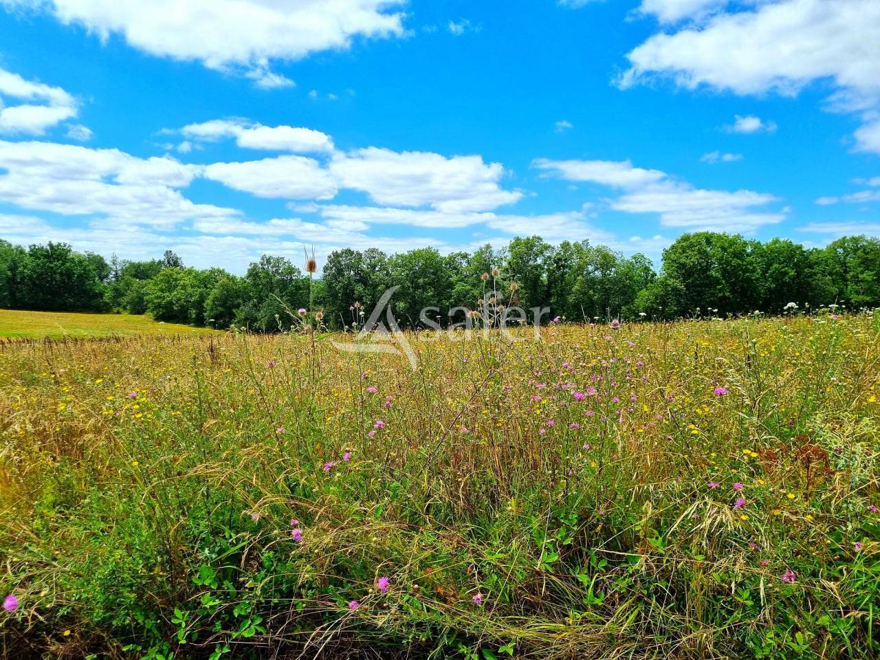 Other agricultural property  Tarn-et-Taronne