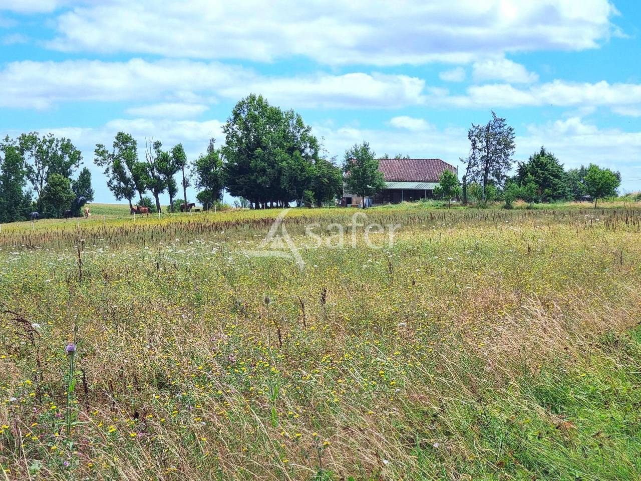 Other agricultural property  Tarn-et-Taronne