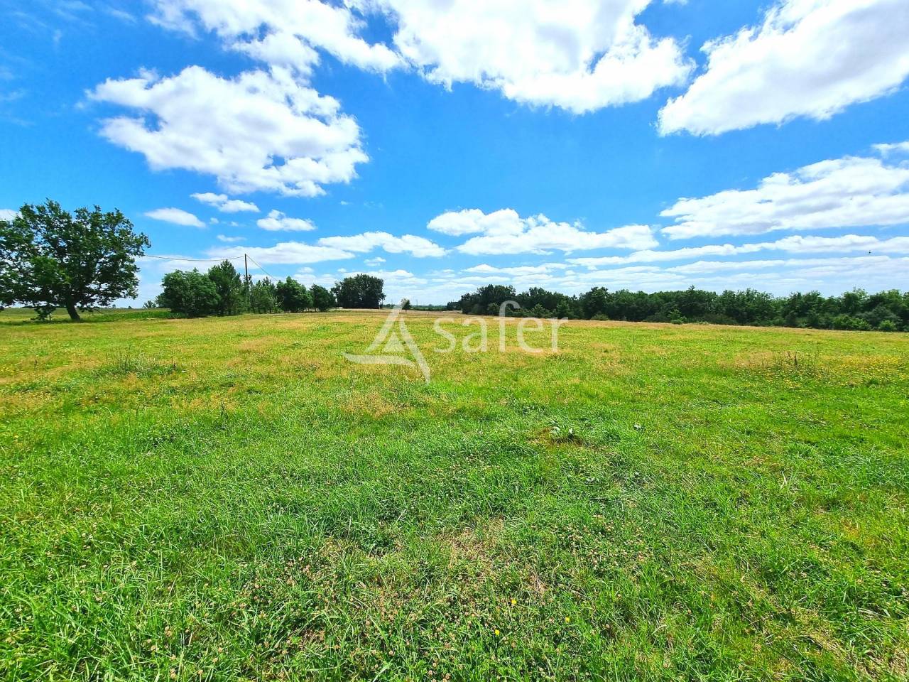 Other agricultural property  Tarn-et-Taronne
