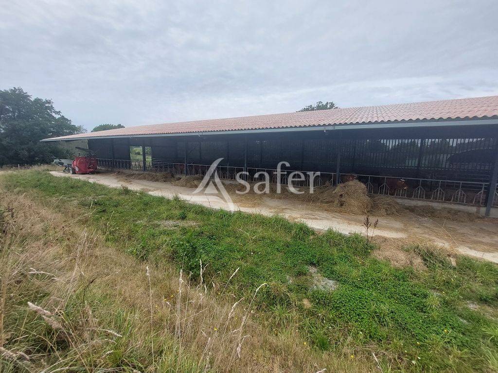 Sheep farm  Haute-Vienne