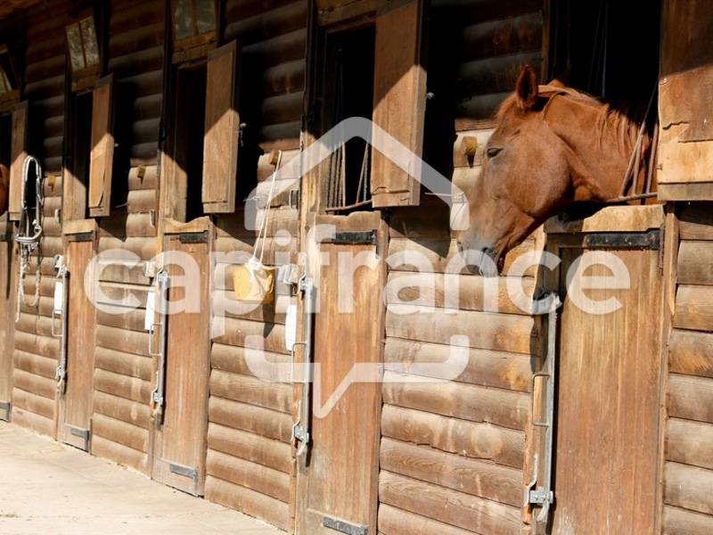 Business  Bouches-du-Rh&ocirc;ne