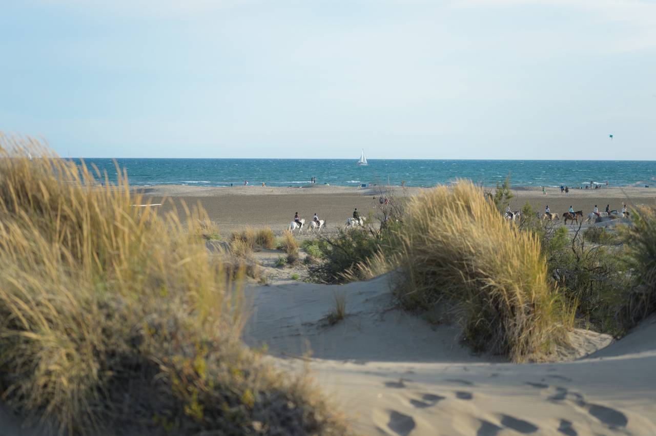 Business  Bouches-du-Rh&ocirc;ne