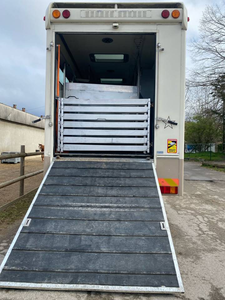 Horsebox NON-HGV Iveco Cursor 2000 Used
