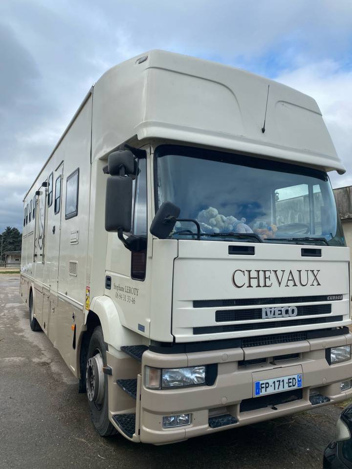 Horsebox NON-HGV Iveco Cursor 2000 Used