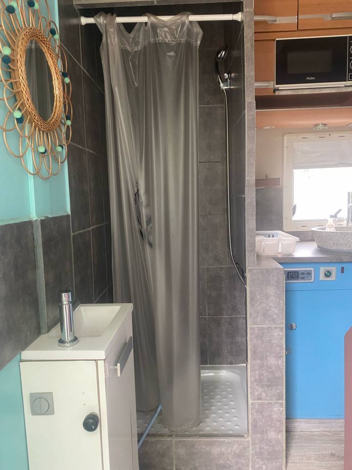 Horsebox NON-HGV Iveco Cursor 2000 Used